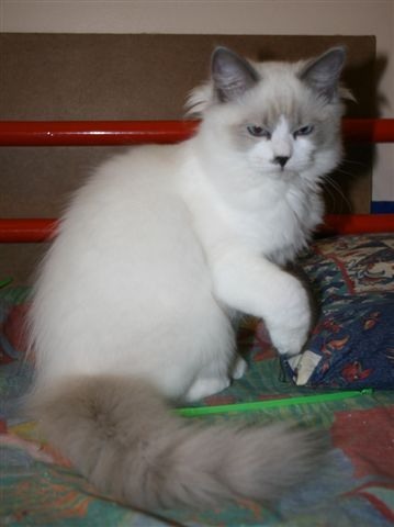 Etti